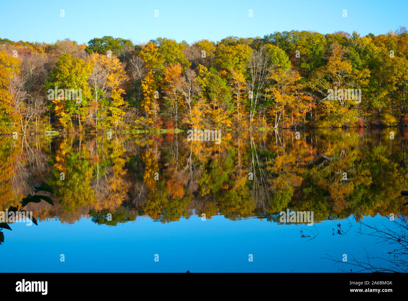 Beautiful Fall Autumn Foliage in New England USA at Risley Park Vernon Connecticut NEw England Stock Photo