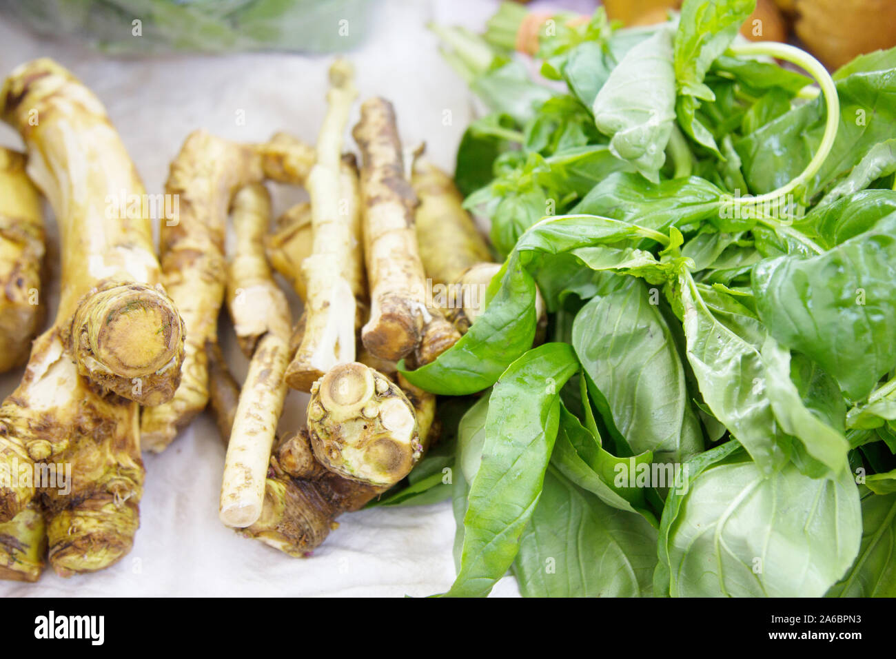 Horseradish roots washed and cut in the French market, root vegetable