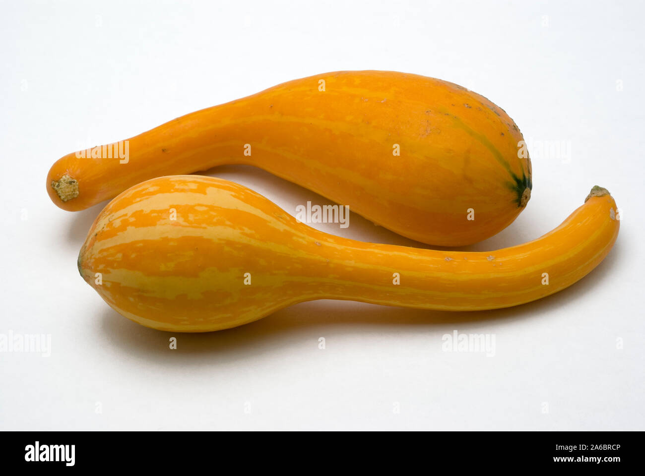 Ornamental gourds hires stock photography and images Alamy