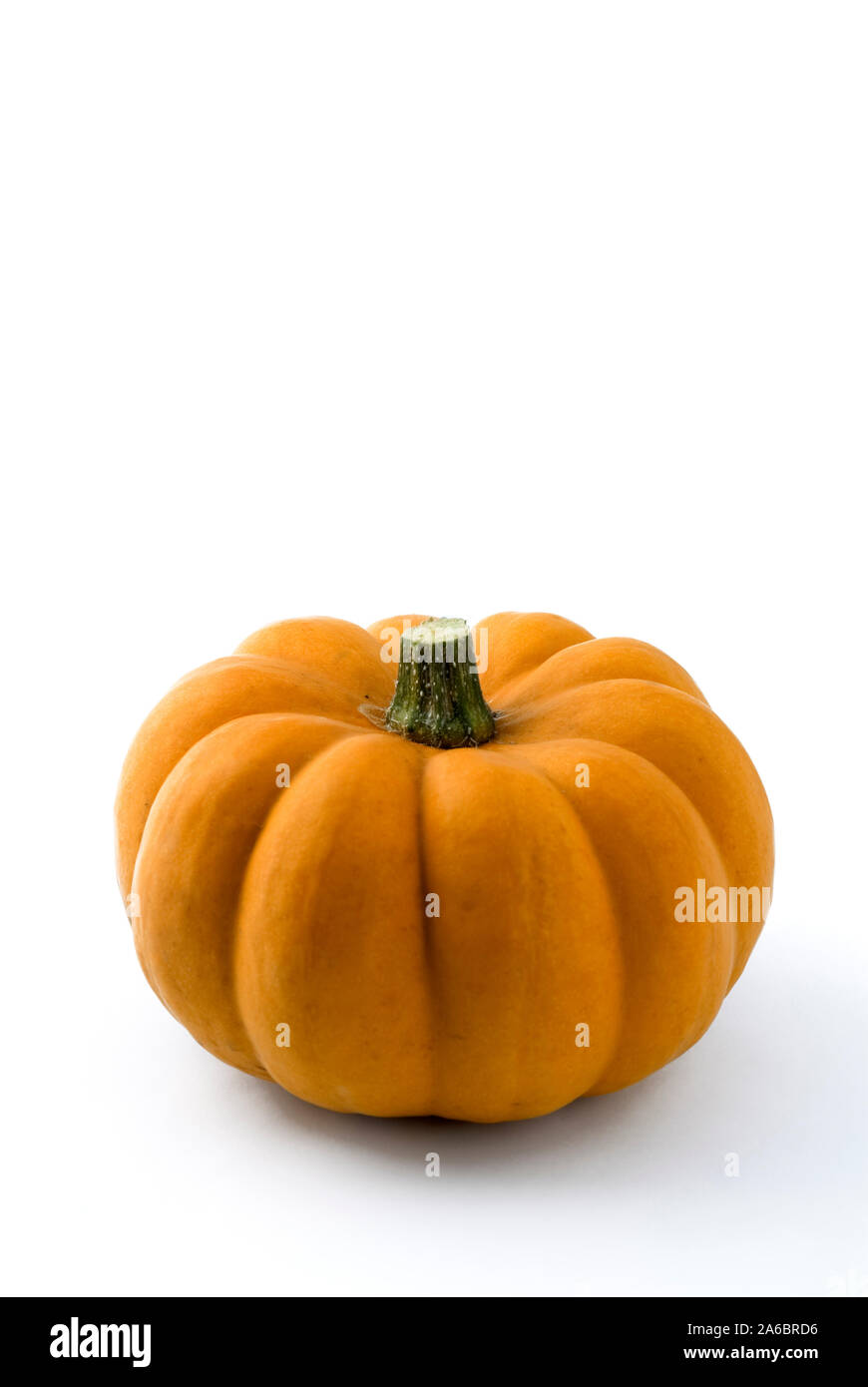 Ornamental Gourd Stock Photo