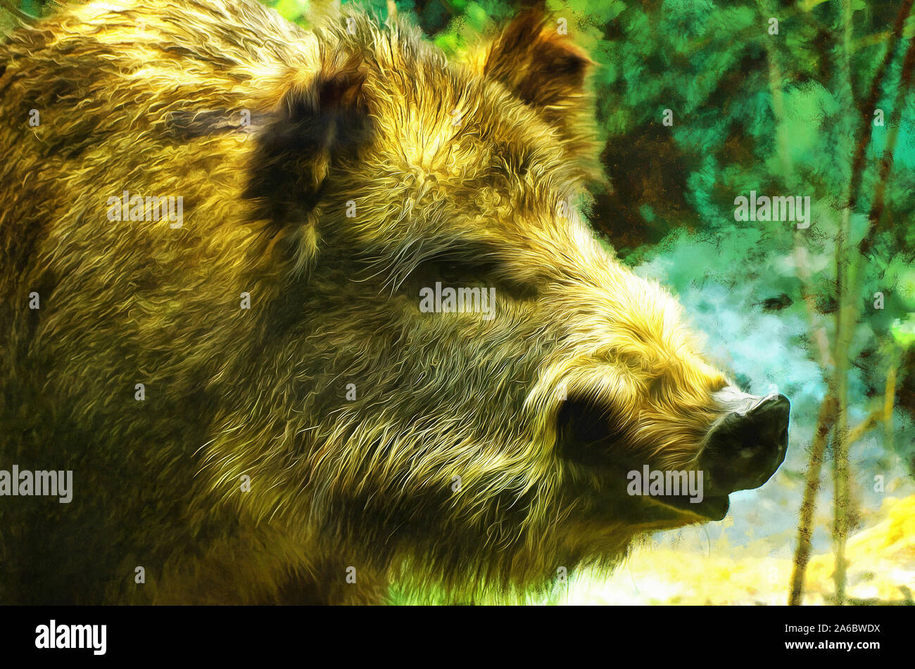 Non ruminants hi-res stock photography and images - Alamy Non ruminants hi-res stock photography and images - Alamy