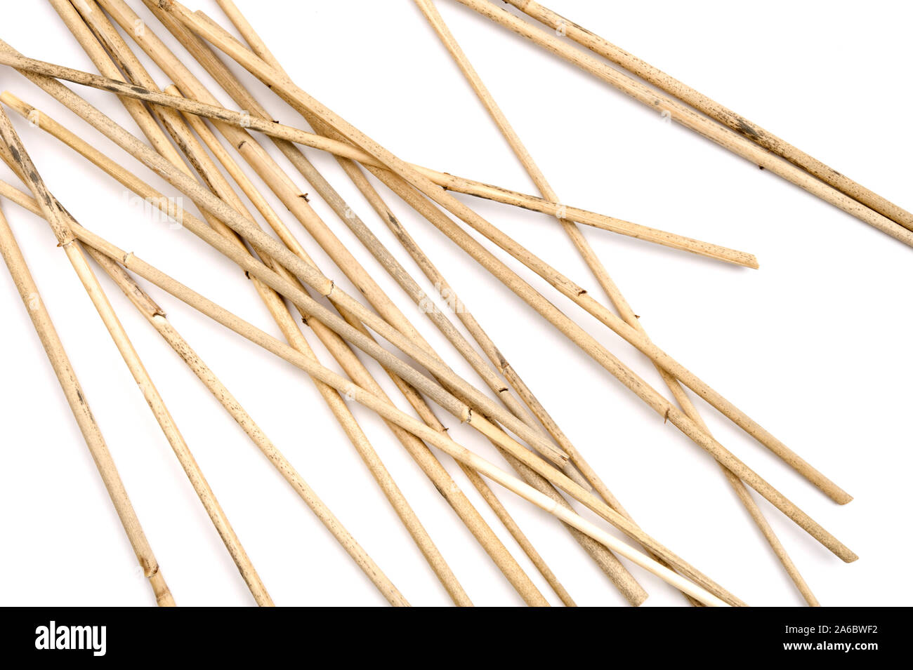 Pile of dried reeds on white background. Focus on foreground. Stock Photo
