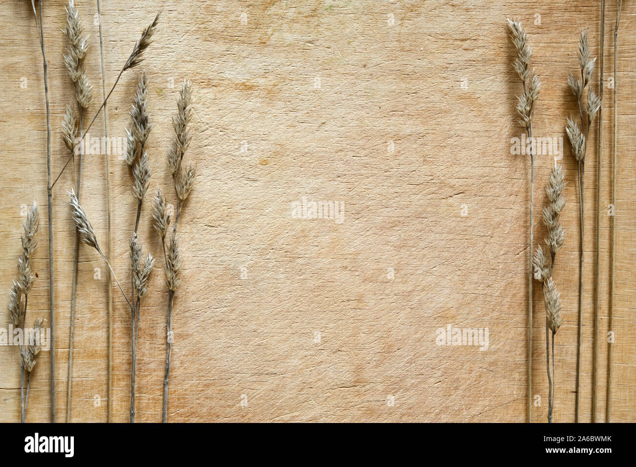 Dried grasses on wooden background. Stock Photo