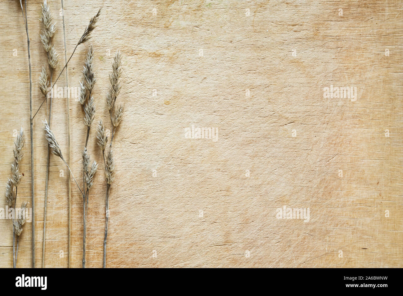 Close-up of dried grasses on a wooden surface. Stock Photo