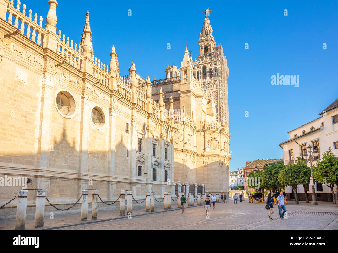 Sevilla Seville Spain Seville cathedral and the Seville General Archive of the Indies building Seville Spain EU Europe Stock Photo