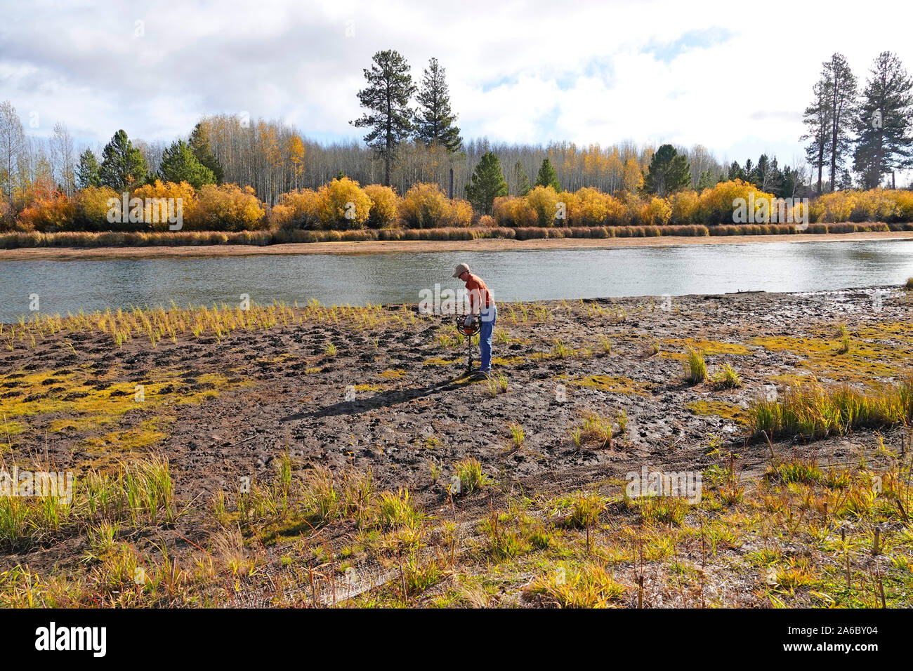 U.S. Forest Service employees plant sedge grass in eroded areas along the banks of the Deschutes River near Bend, Oregon. Stock Photo