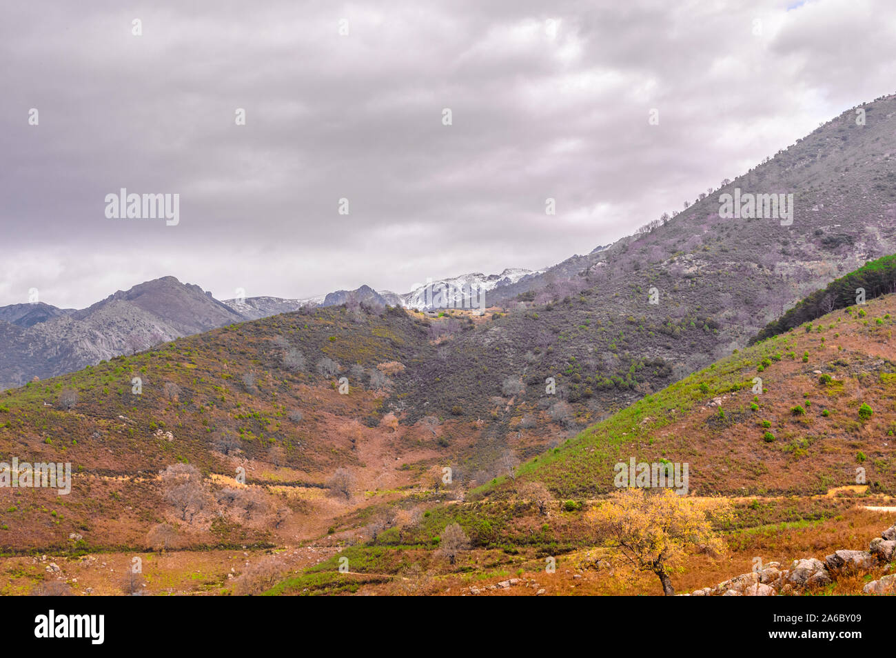 Pastures of the Mountian Range Of Gredos overlooking the Almanzor Peak completely snowy in the Freillo. December 15, 2018. El Raso Avila Castilla Leon Stock Photo