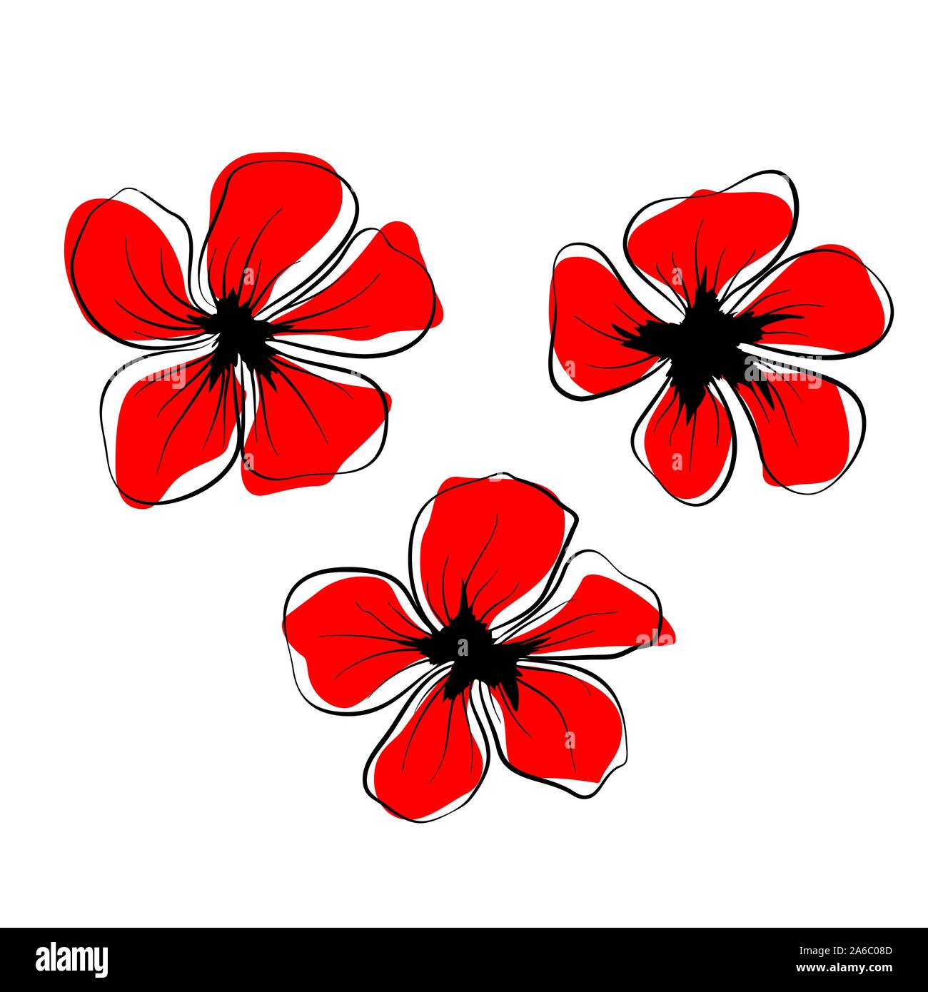 Vector poppy. Illustration isolated. Romantic botanical wallpaper ...
