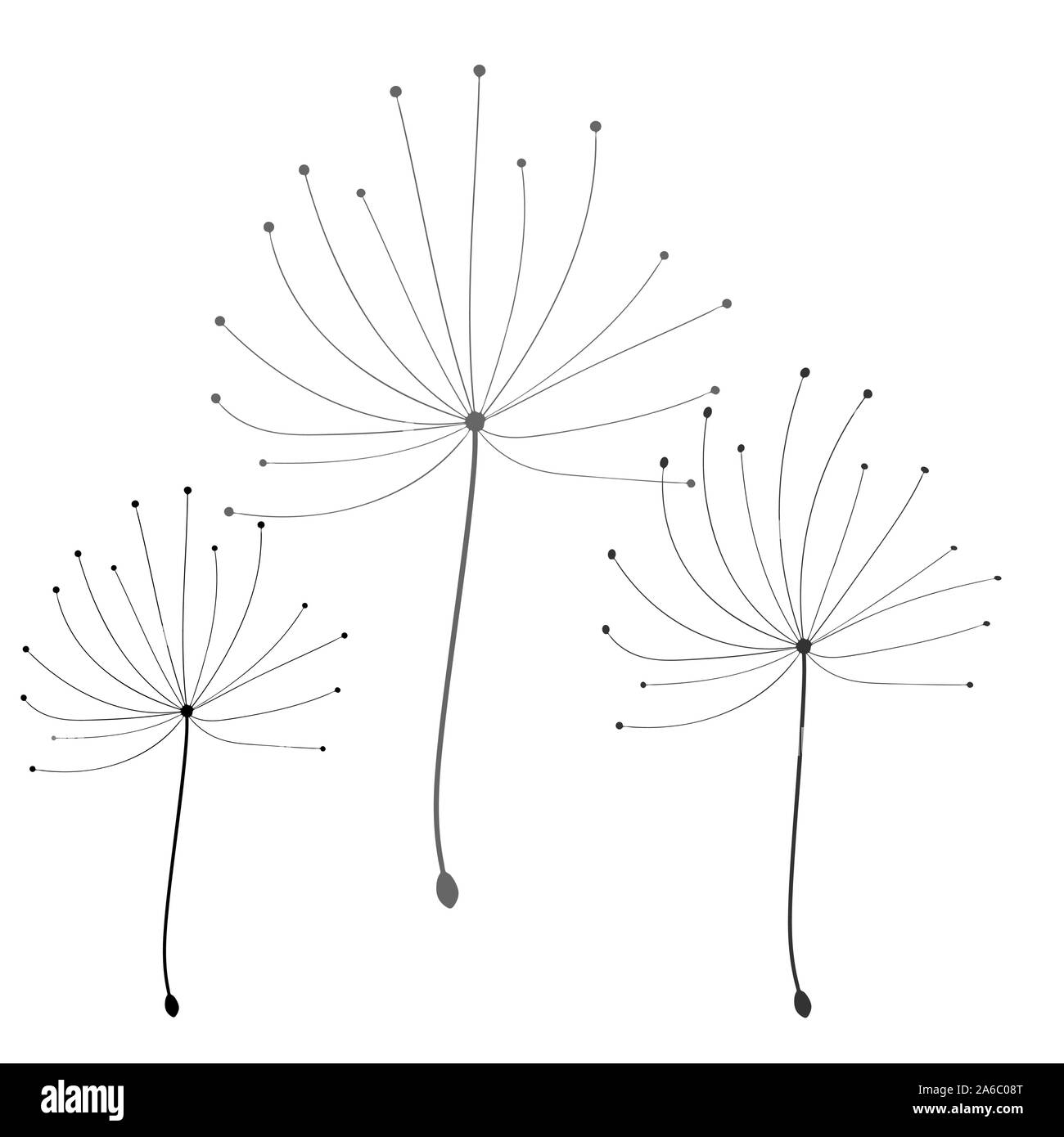 Dandelion in abstract style on white background. Vector floral background. Dandelion vector. Botany background Stock Vector