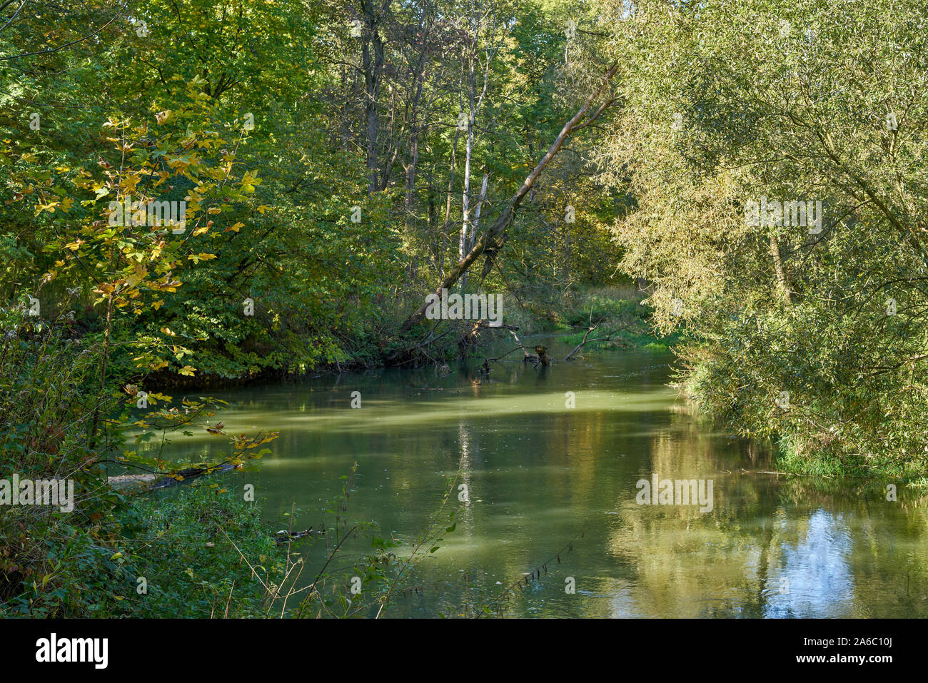 Bystrzyca River  lower Silesia Poland Colorful quiet autumn landscape Stock Photo