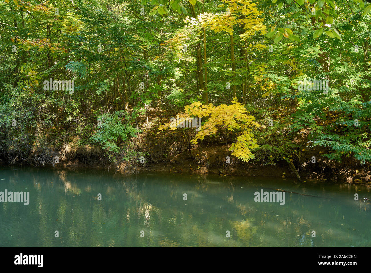 Bystrzyca River  lower Silesia Poland Colorful quiet autumn landscape Stock Photo