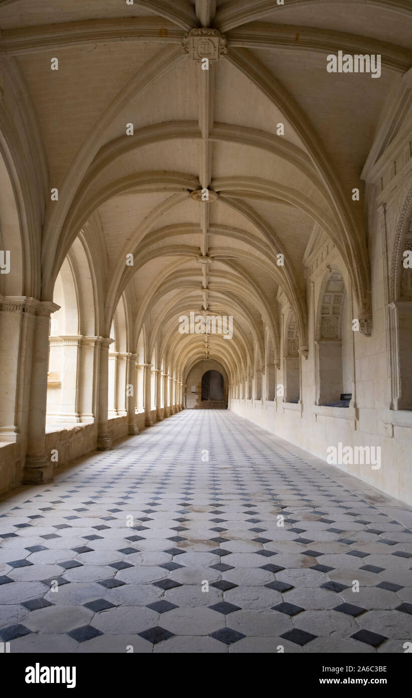 Cloisters at Abbey of Fontevraud, Loire, France. Burial place of Plantagenet kings and queens, intricately carved cloister with vaulted ceiling Stock Photo