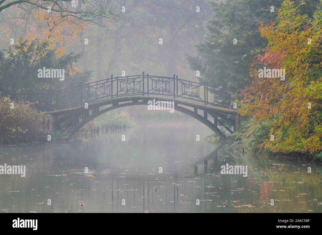 Beautiful autumn morning landscape. Charming bridge among colorful trees in the city park. Stock Photo