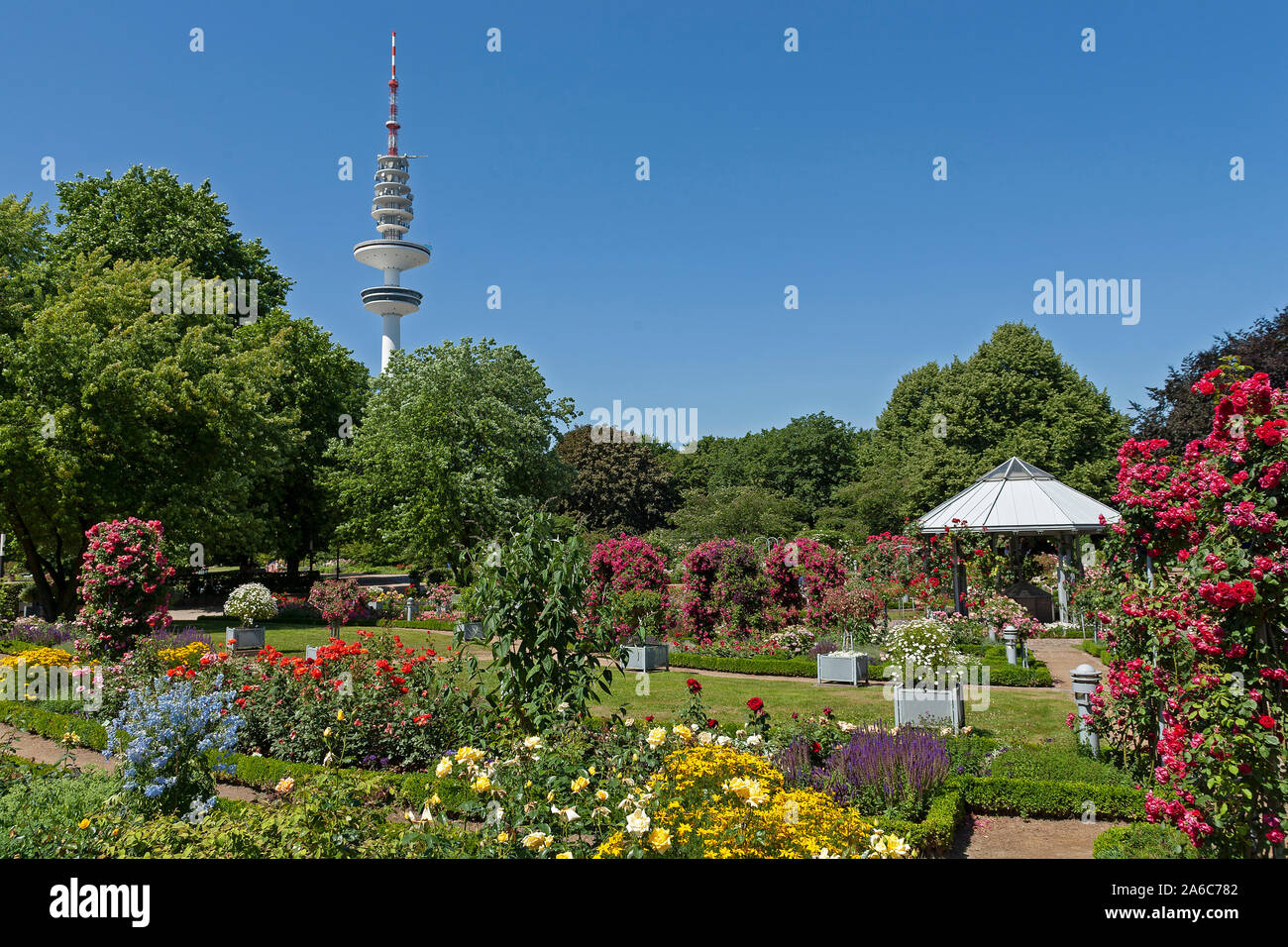 planten-un-blomen-high-resolution-stock-photography-and-images-alamy
