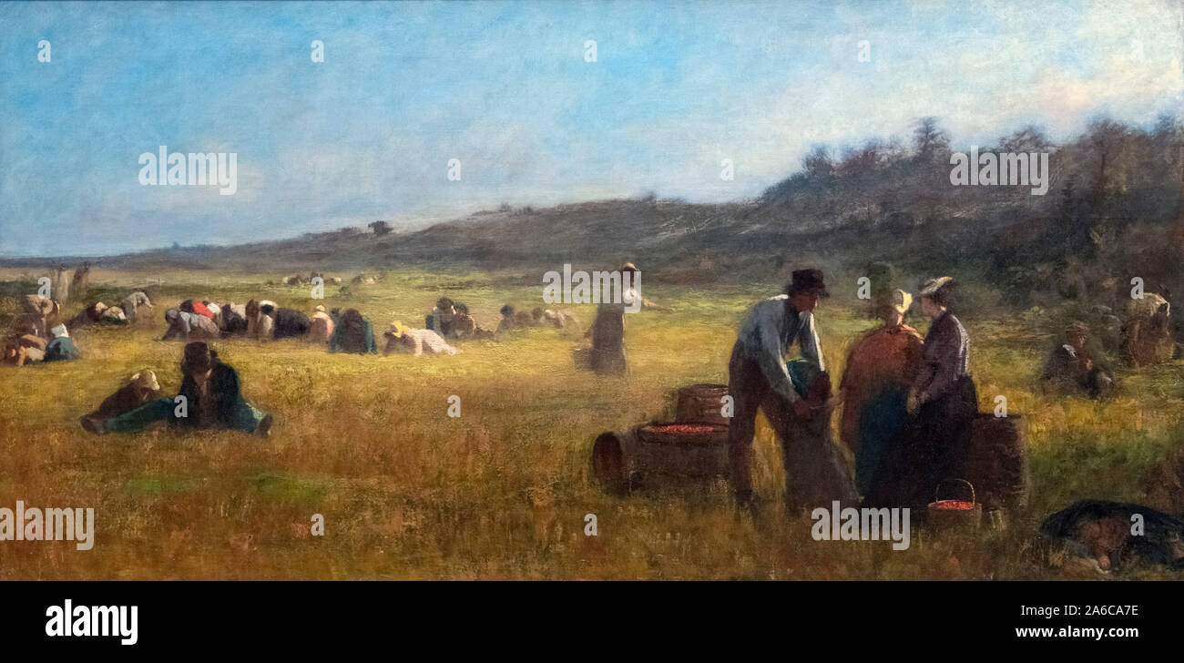 Cranberry Pickers by Eastman Johnson (1824-1906), oil on canvas, c.1878/9 Stock Photo
