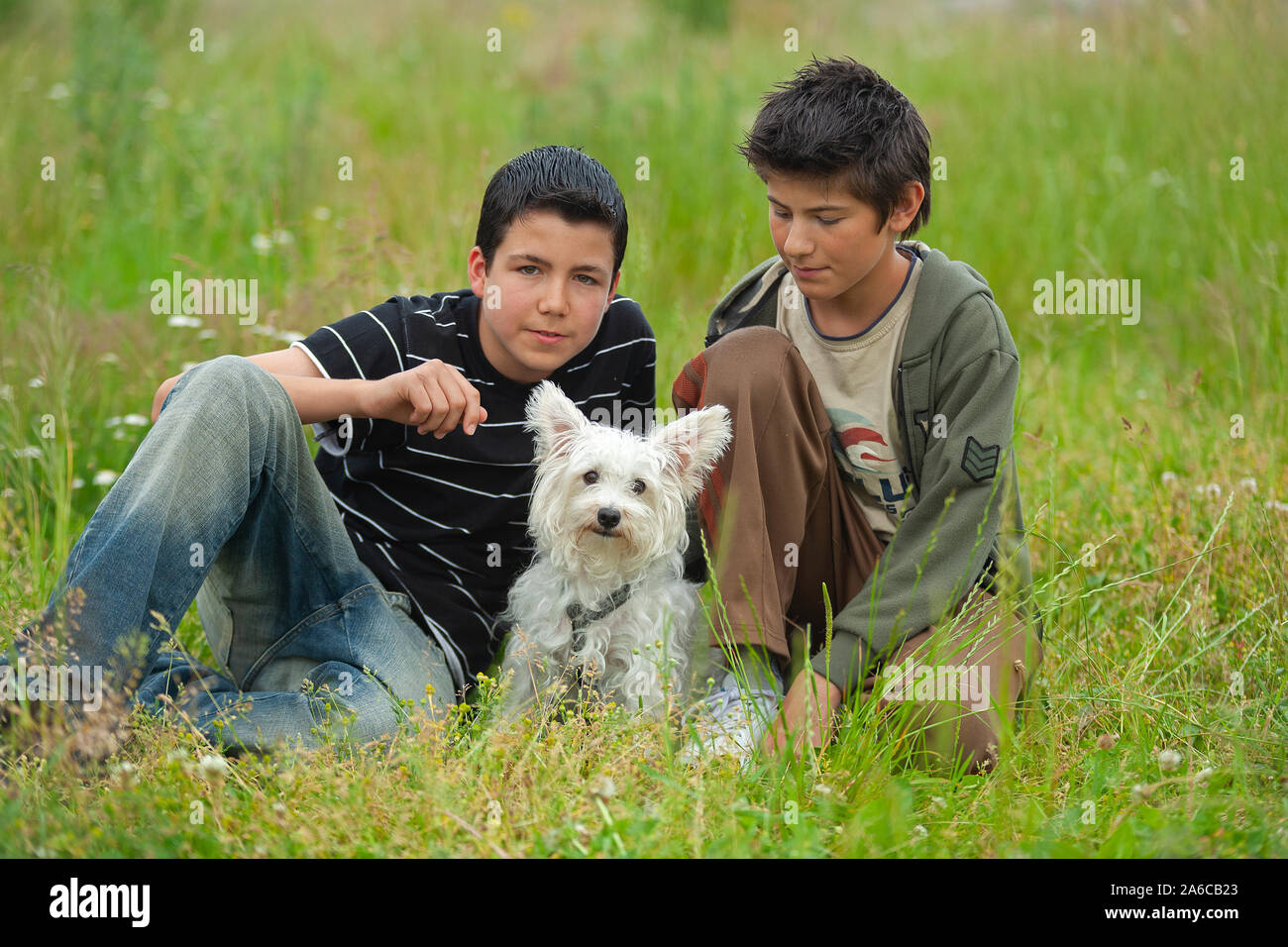 Two young boys sitting in a meadow with their dog. Stock Photo