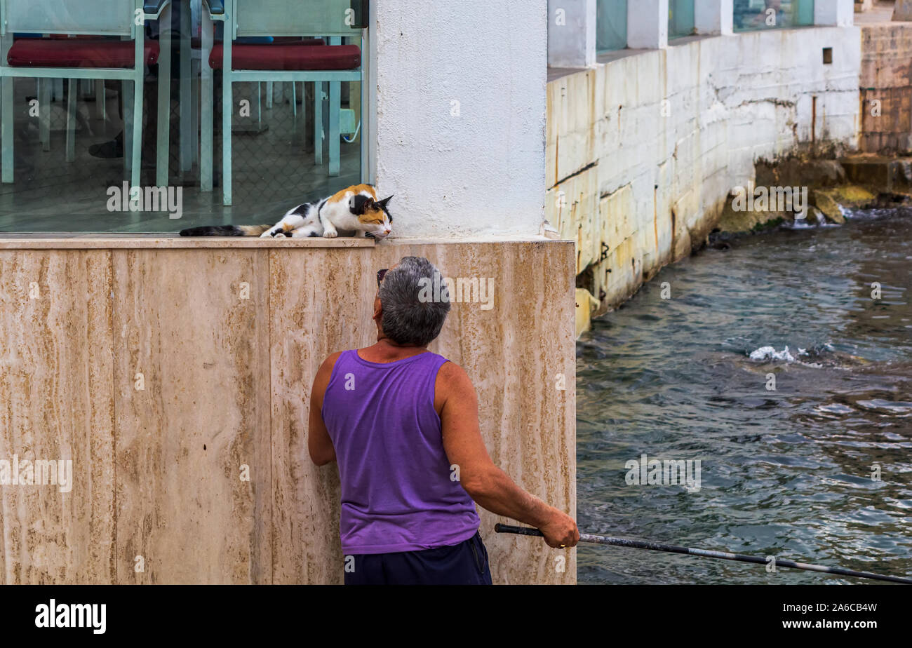 Maltese fisherman patting stray calico cat while catching the fish with rod in another hand. Friendship of man and cat. Man caring for street cats. Stock Photo