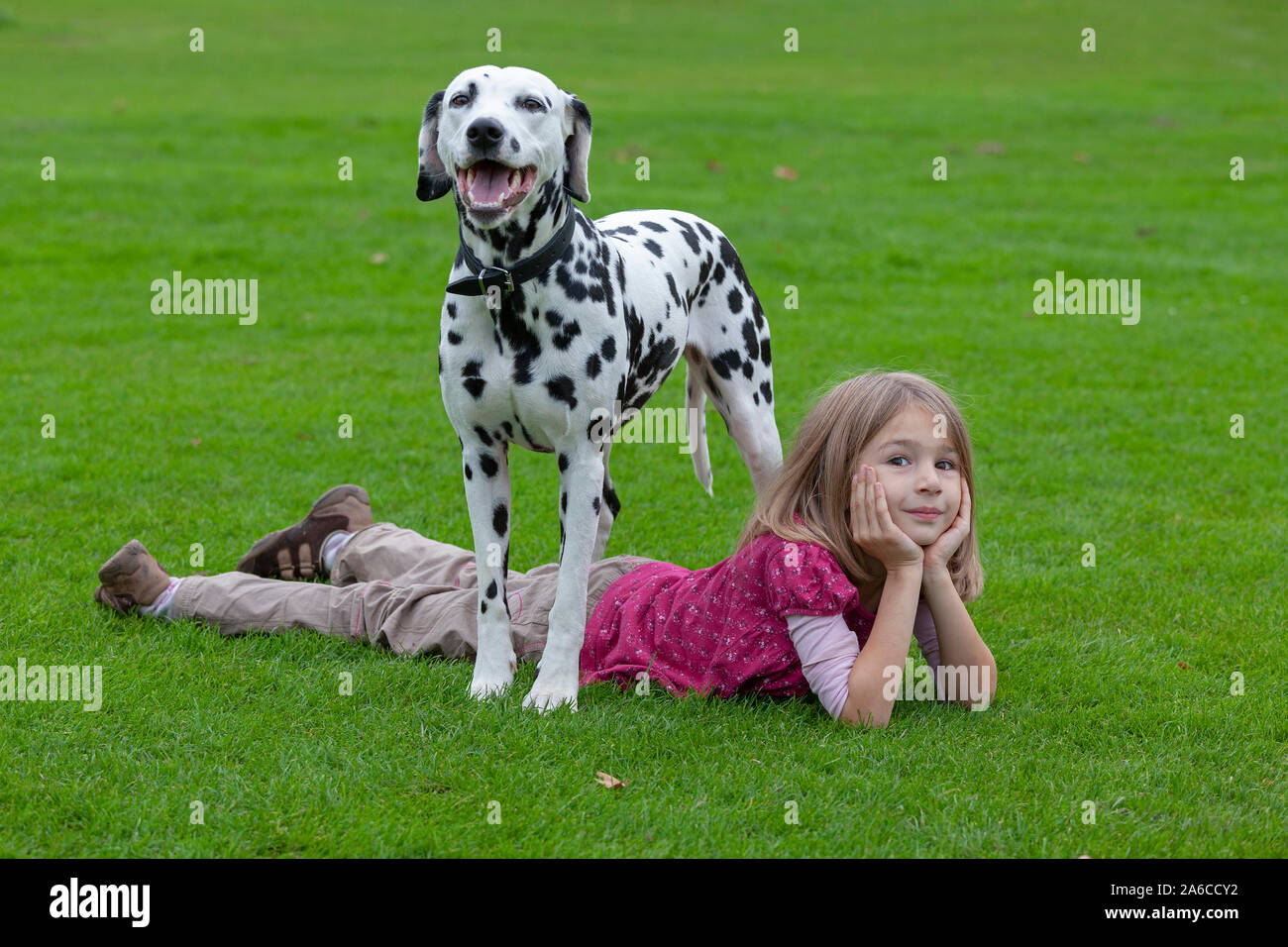Portrait of a little girl with a Dalmatian. Stock Photo