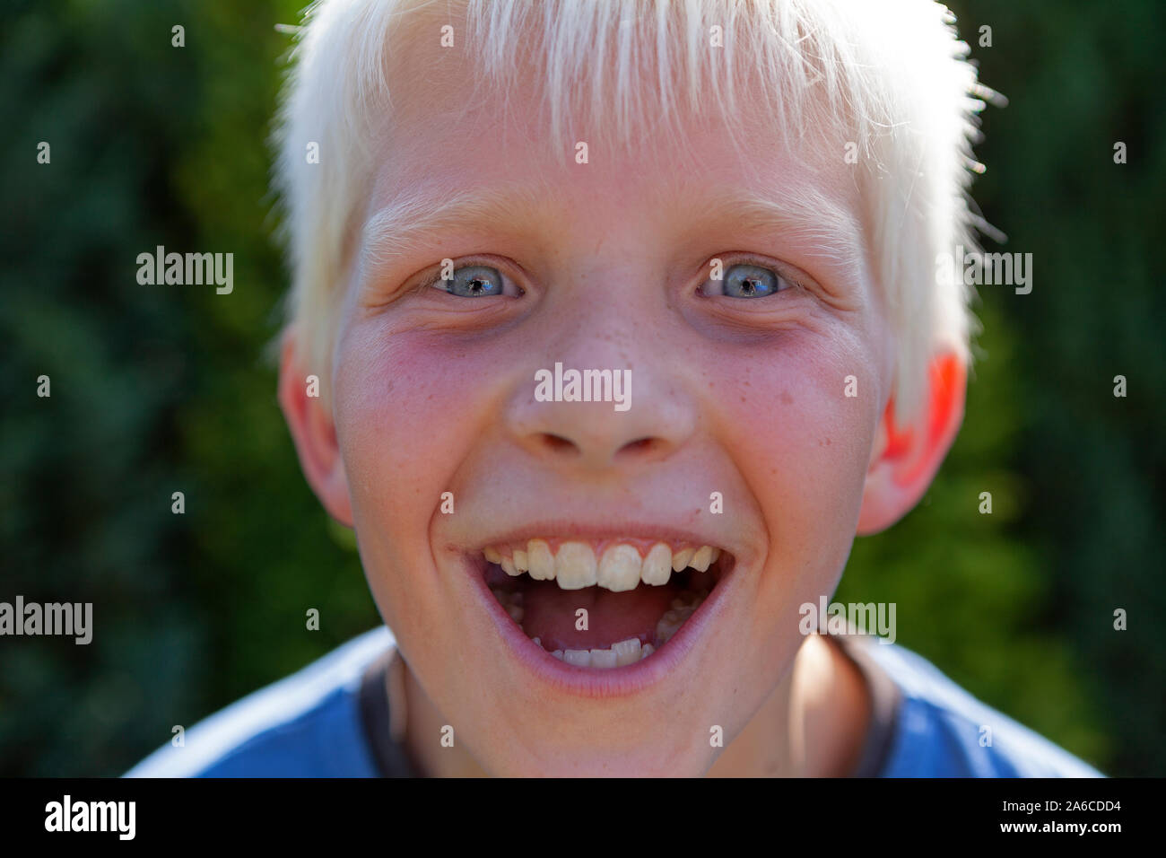 Portrait of a laughing young boy looking into the camera Stock Photo ...
