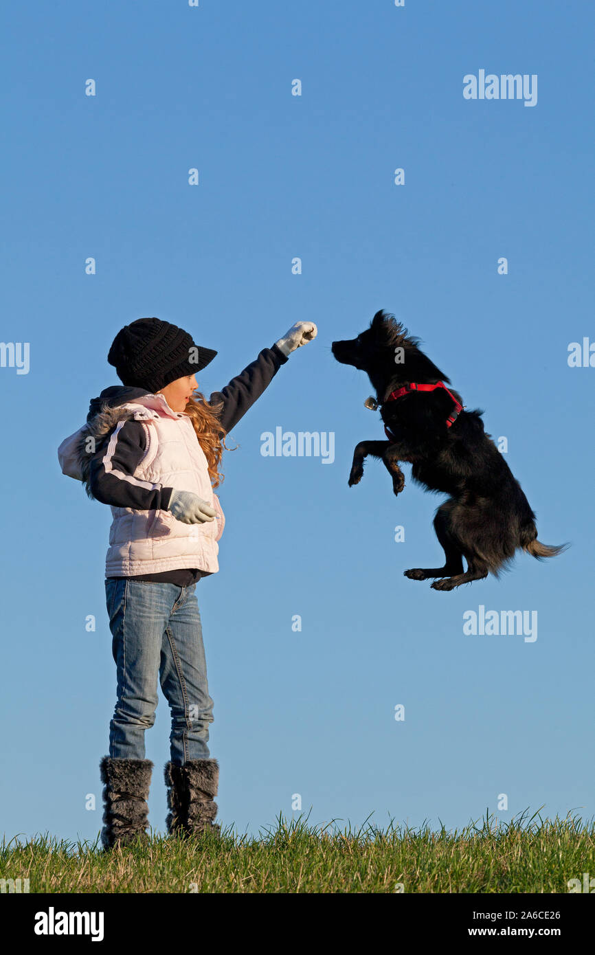 A young girl is making her dog jump. Stock Photo