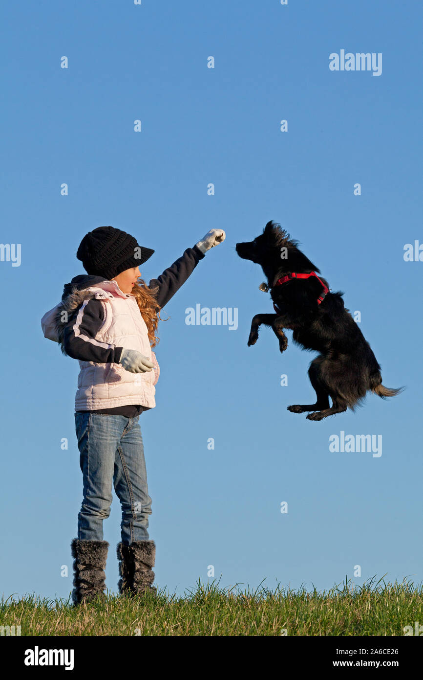 Haustier im freien hires stock photography and images Alamy
