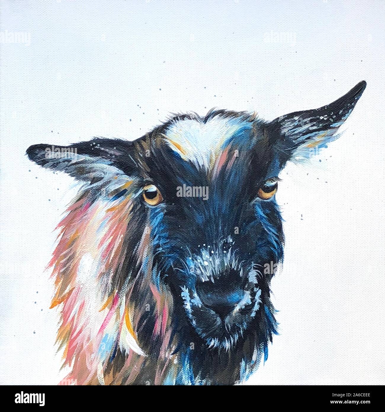 Goat Paining Goat Painting High Resolution Stock Photography and Images - Alamy
