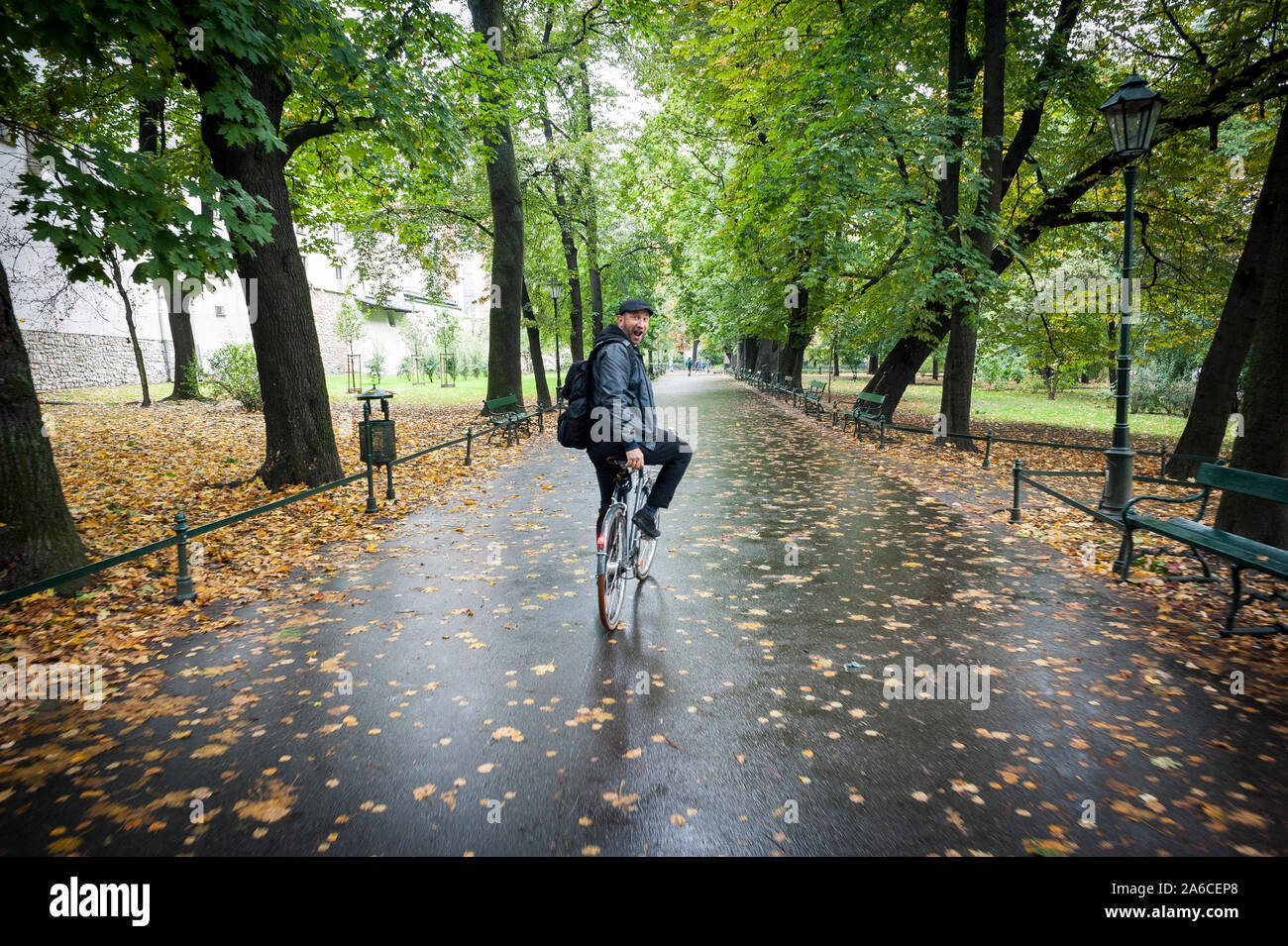 Autumn leaf fall on a lane hi-res stock photography and images - Alamy