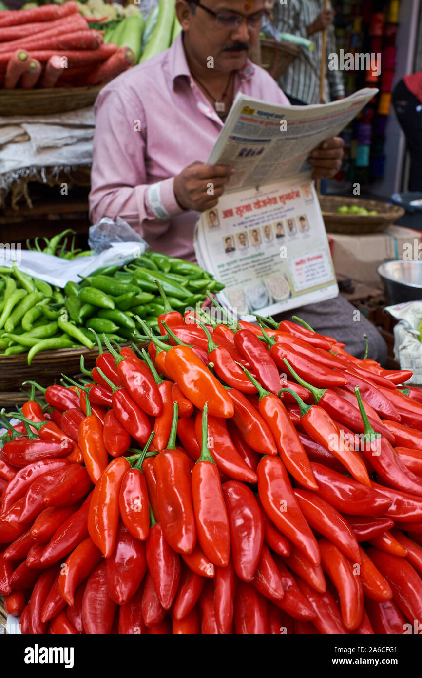 Red and green chilis on sale at a market in Mumbai, India, the vendor engrossed in his newspaper Stock Photo
