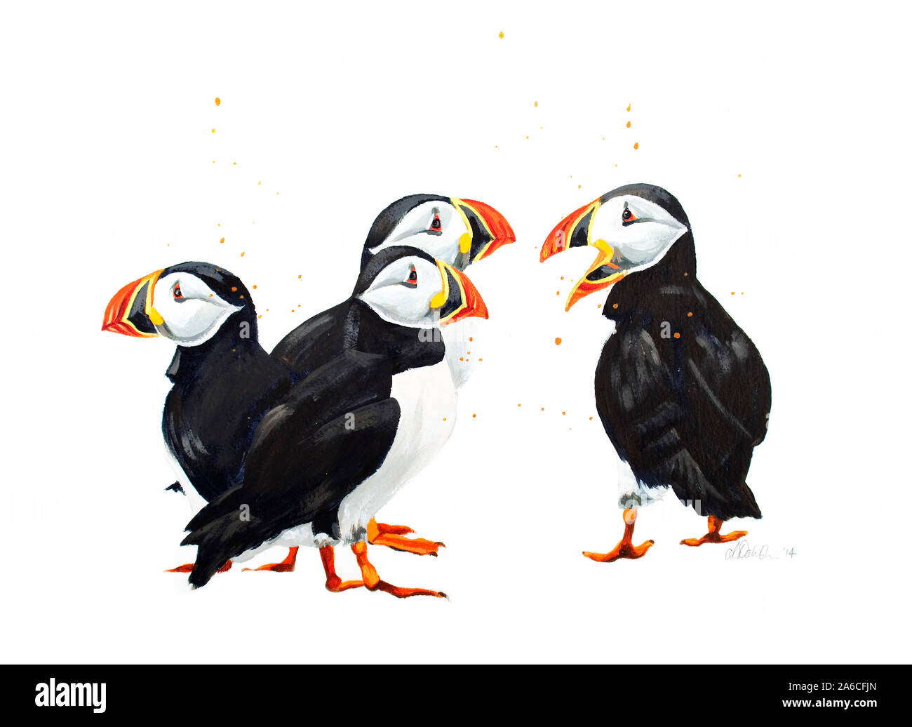Painting of a group of puffins Stock Photo