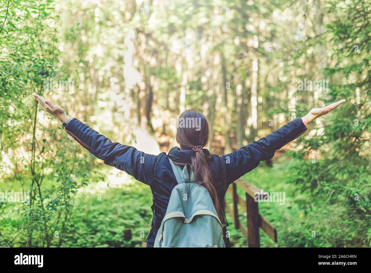 Rear view of young woman wearing backpack with raised arms in forest ...