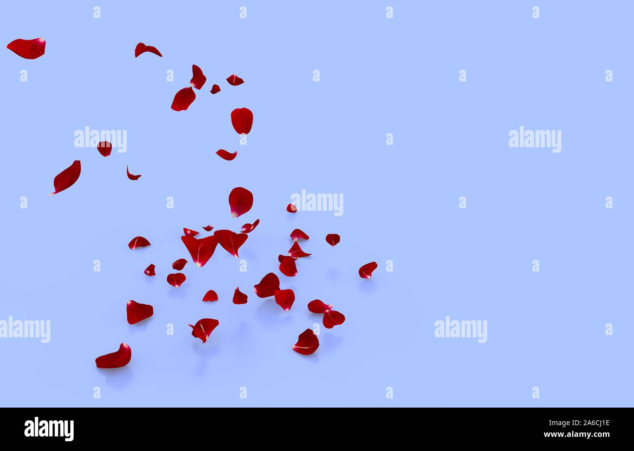 Falling blue rose flower petals hi-res stock photography and images - Alamy