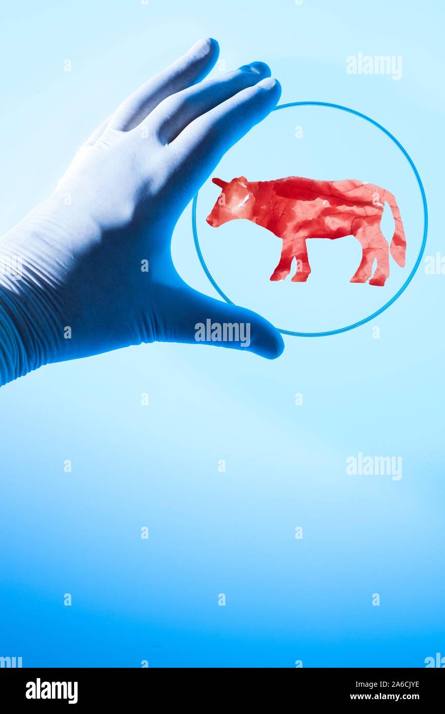 Cultured meat hires stock photography and images Alamy
