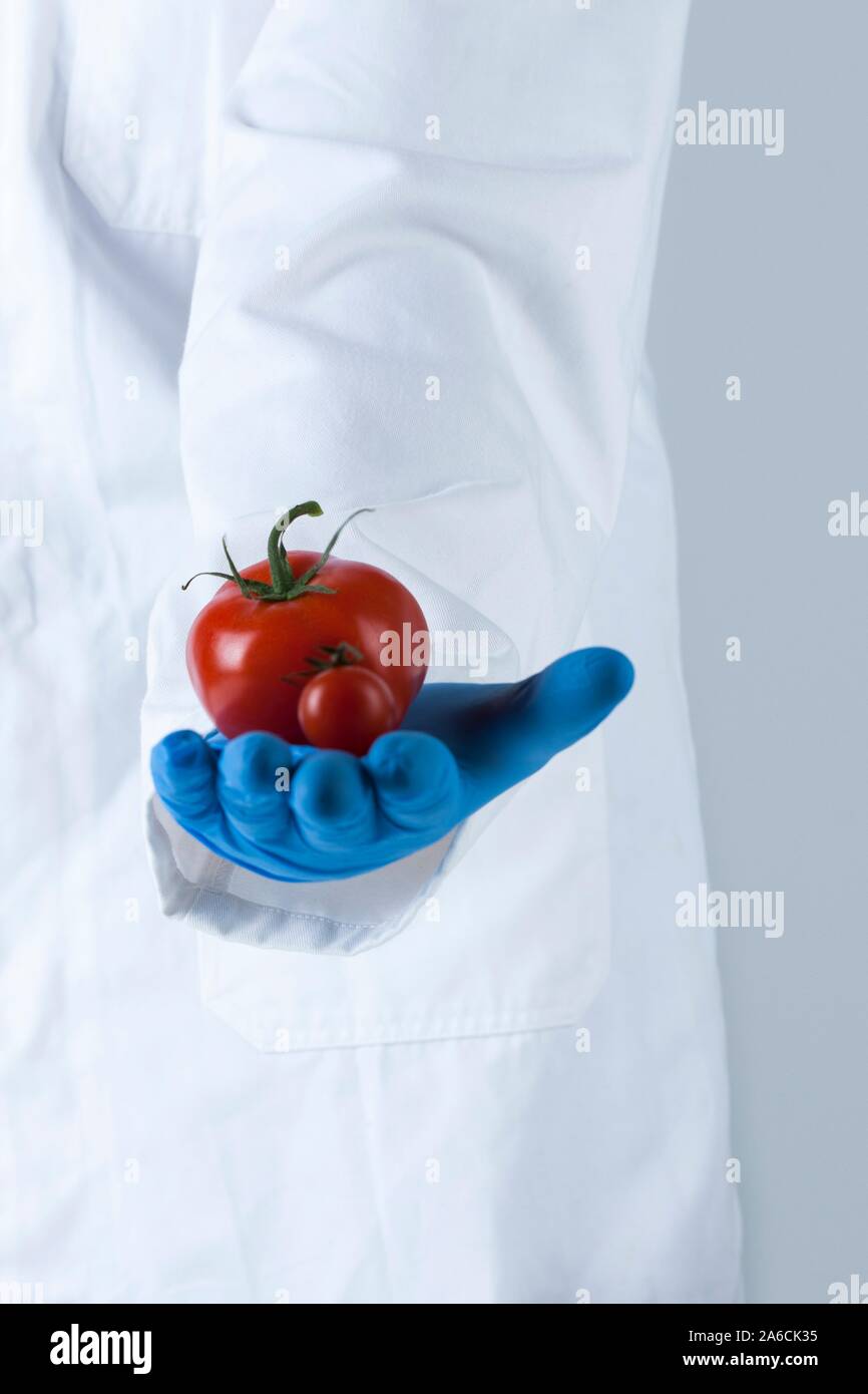 Conceptual image of engineering and modification of food Stock