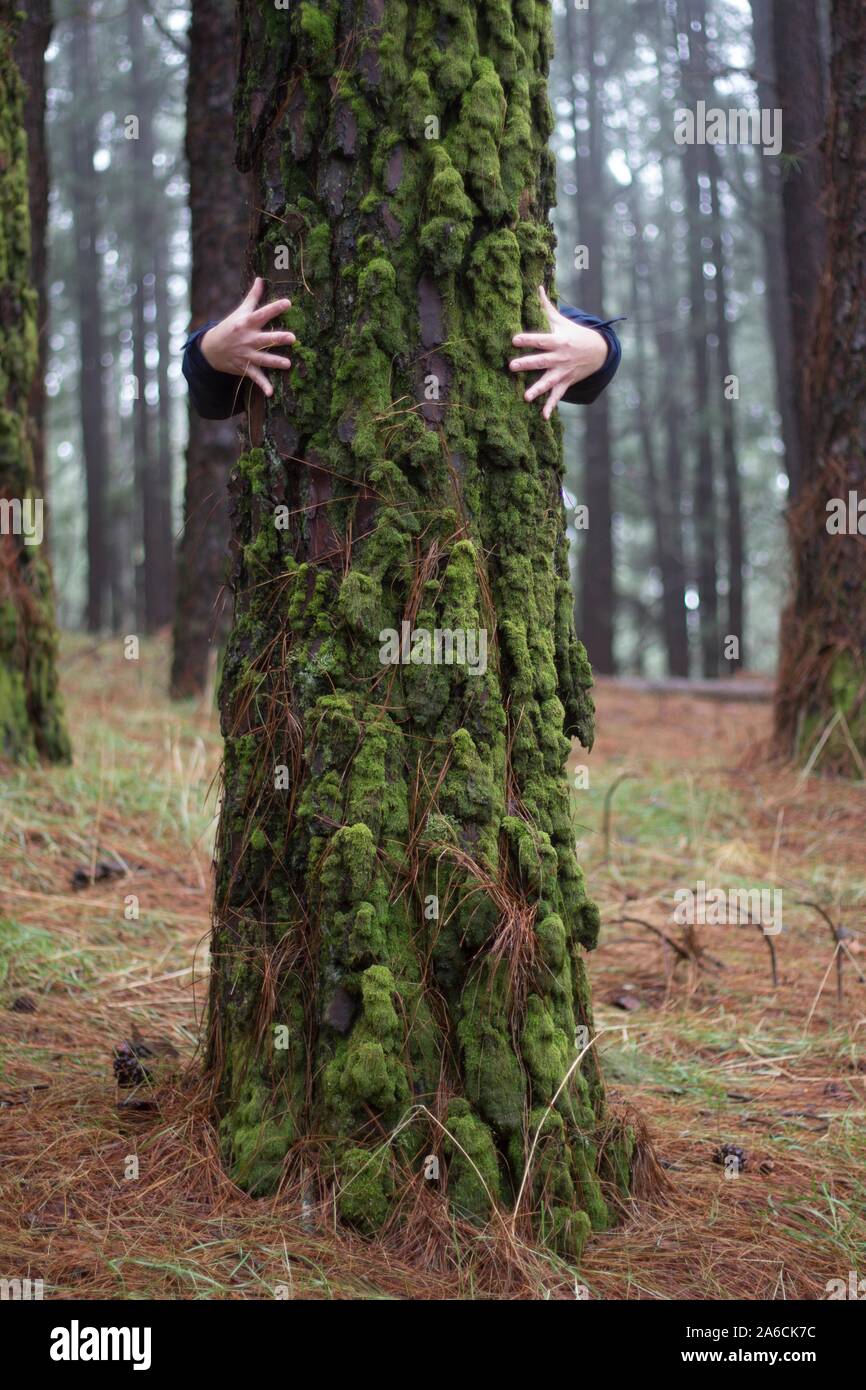 Hands hugging a tree hi-res stock photography and images - Alamy
