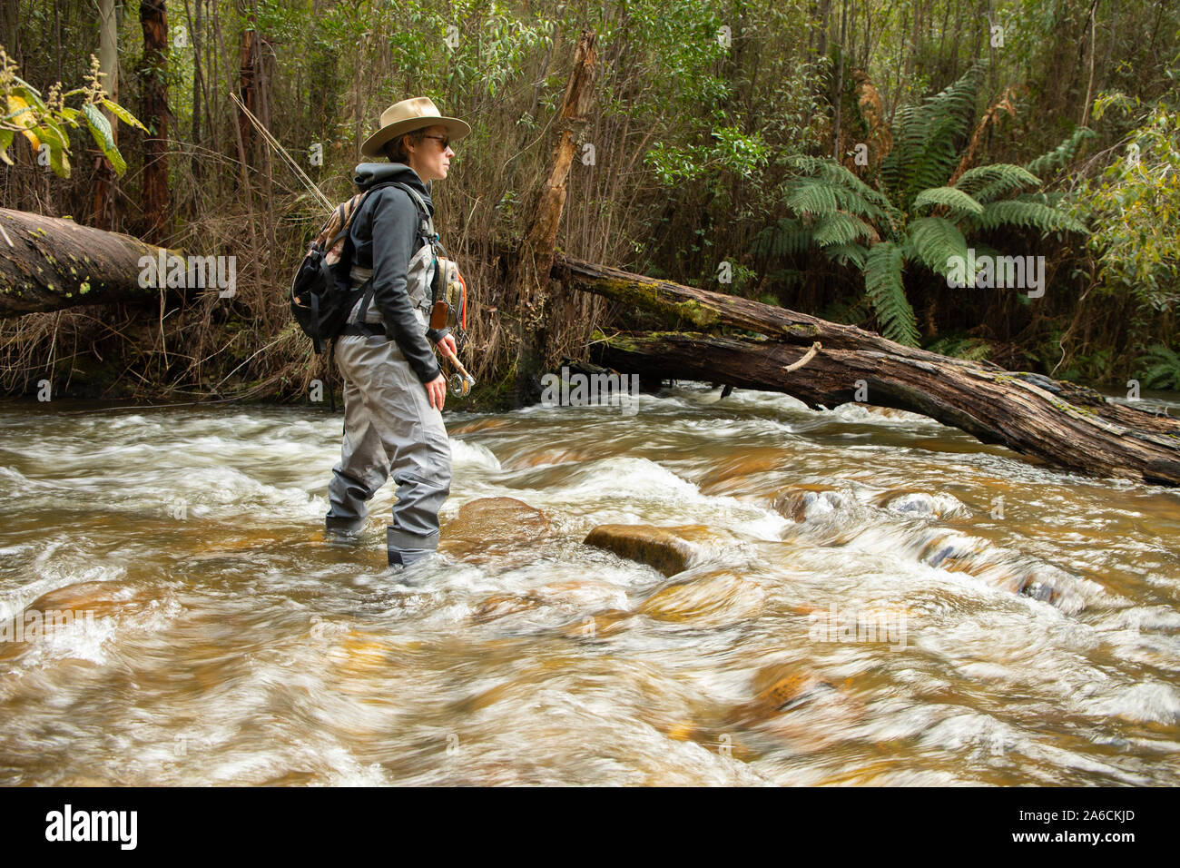 Woman fishing fly hires stock photography and images Alamy