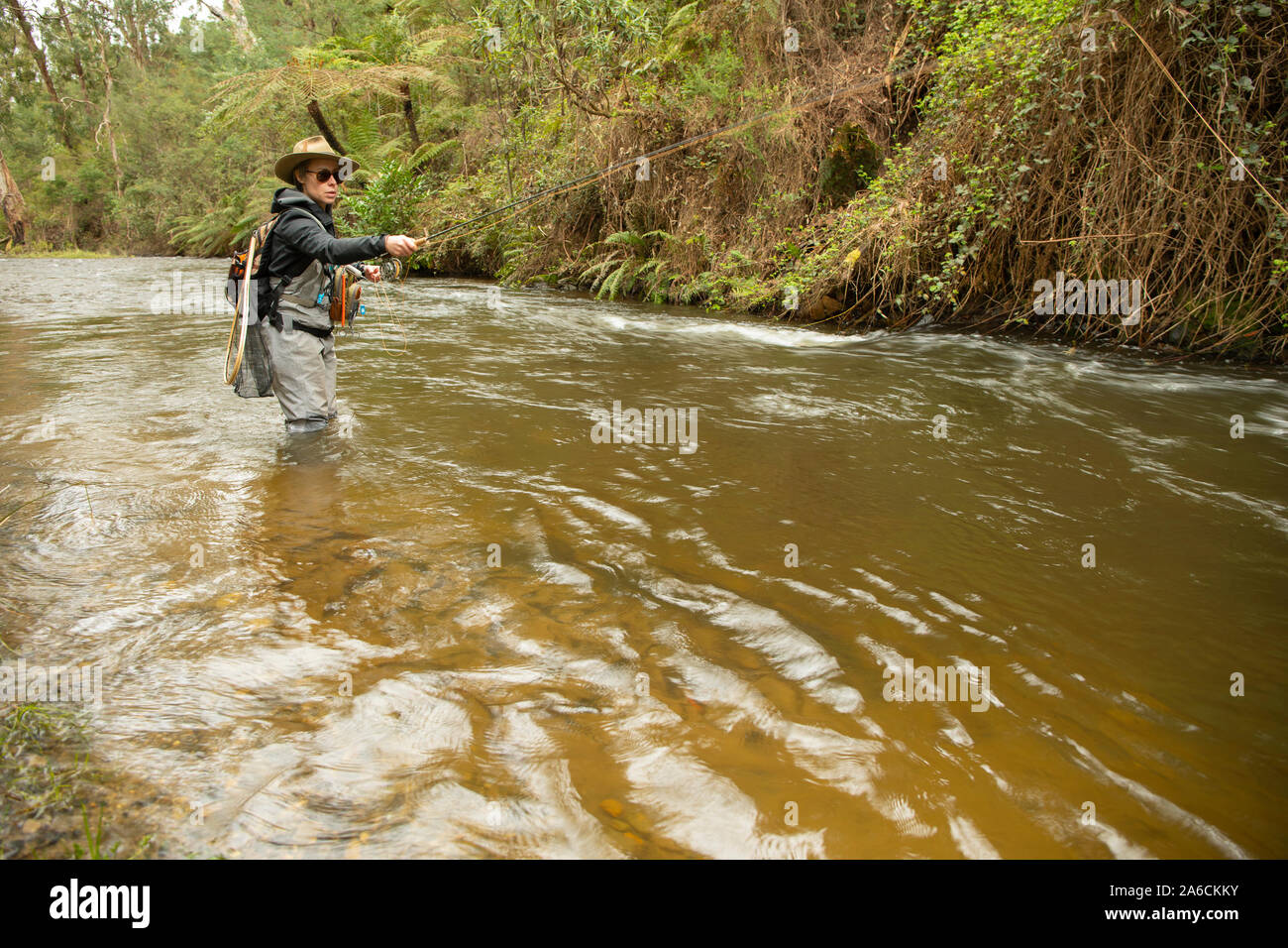 Female fly fishing guide fishing on Steavenson River, Victoria, Australia Stock Photo Alamy