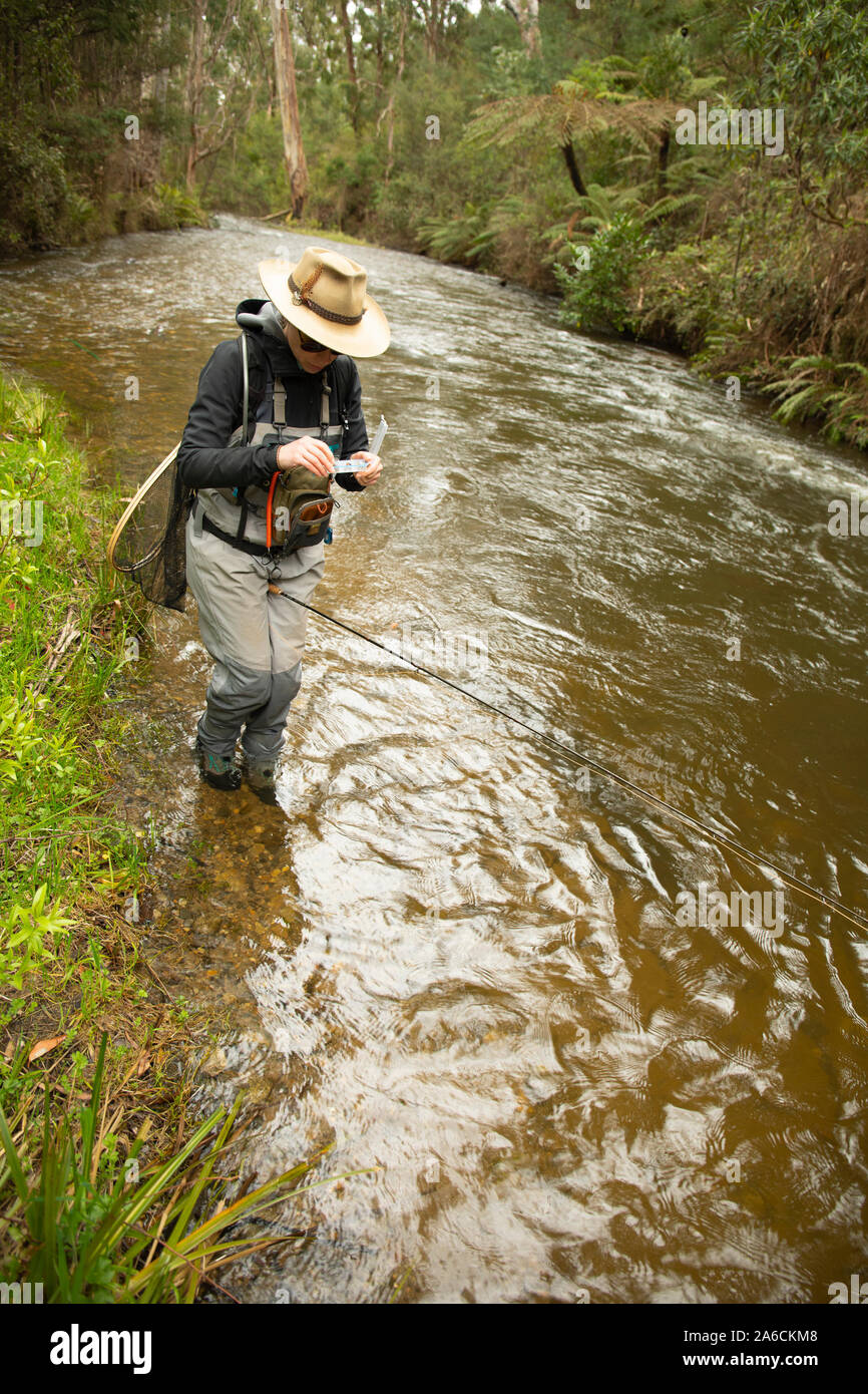 Female fly fishing guide fishing on Steavenson River, Victoria