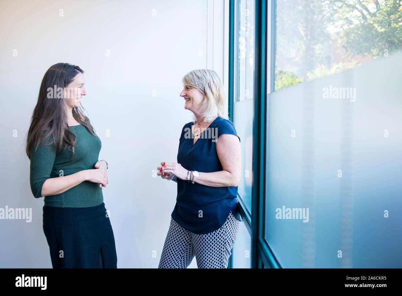 two people meet in a modern office and have an informal chat Stock Photo -  Alamy
