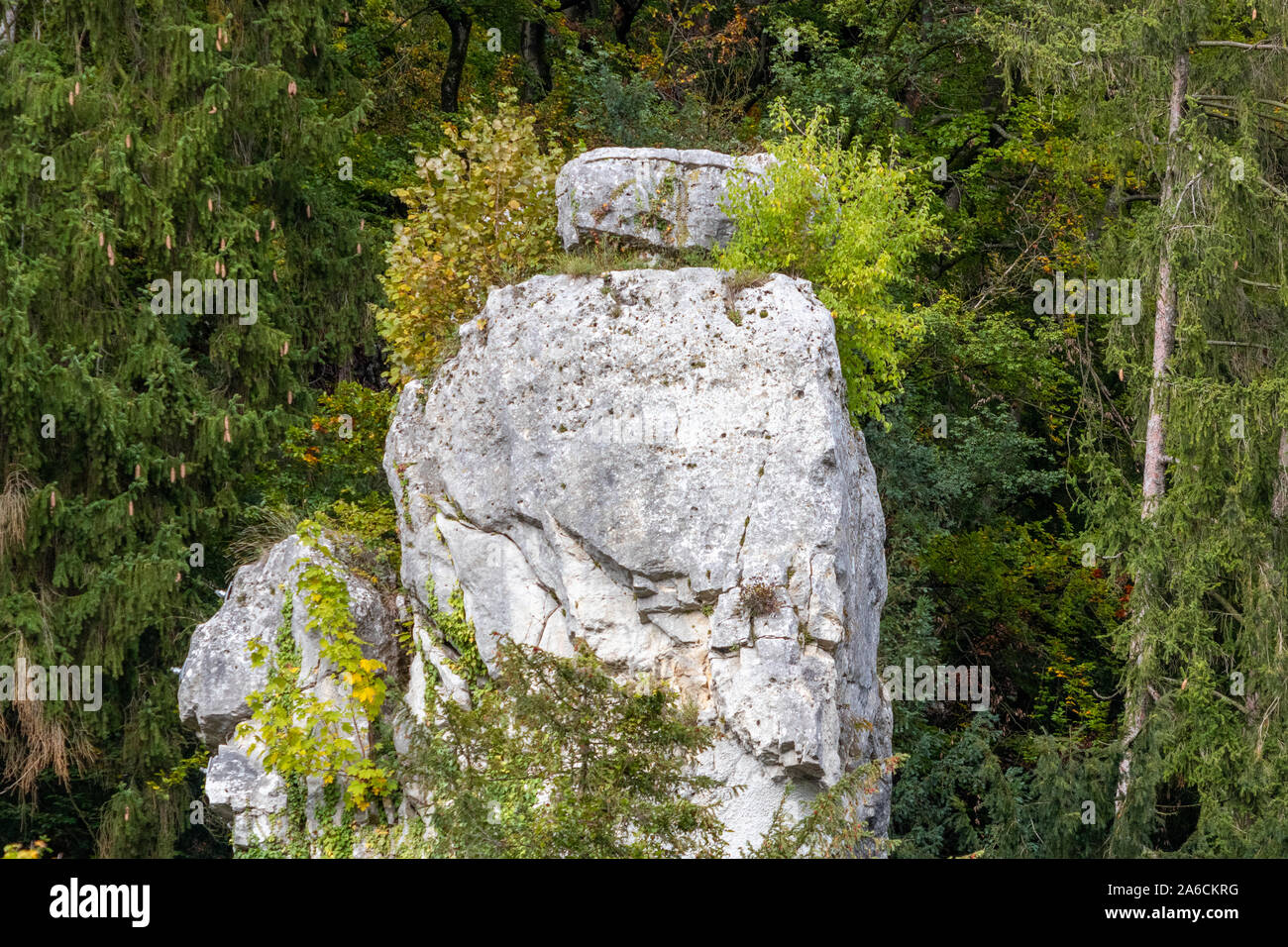 Rock formations called Napoleon's travel casel at Danube breakthrough near Kelheim, Bavaria, Germany Stock Photo