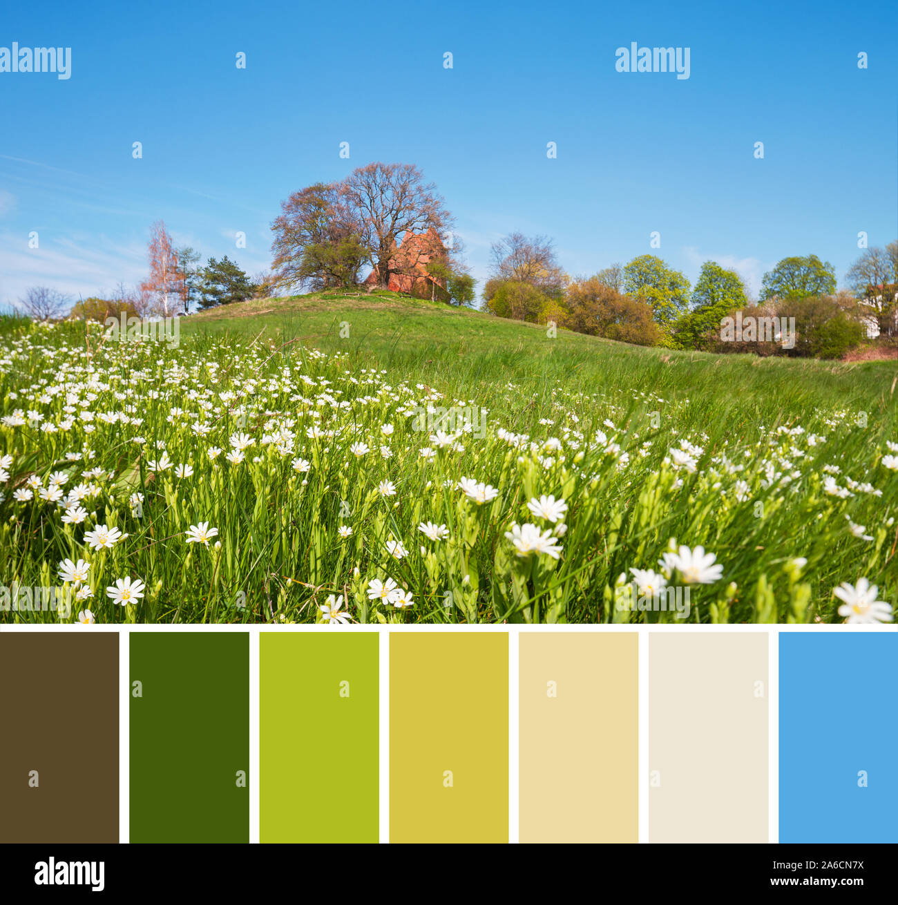 Color matching palette from Spring landscape with historical brick church captured in Binz on island Ruegen, Northern Germany Stock Photo