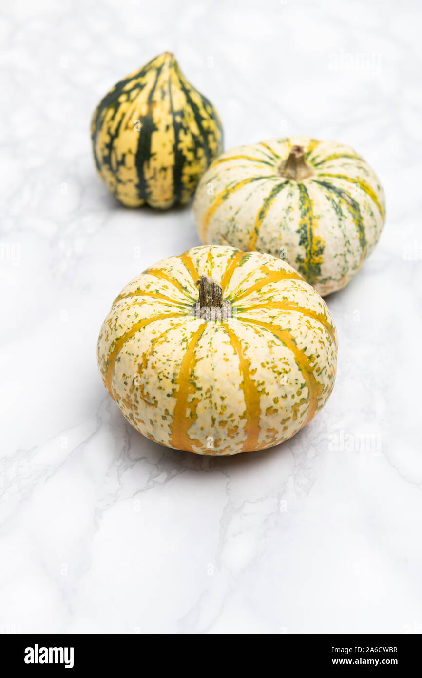 small decorative pumpkins Stock Photo Alamy
