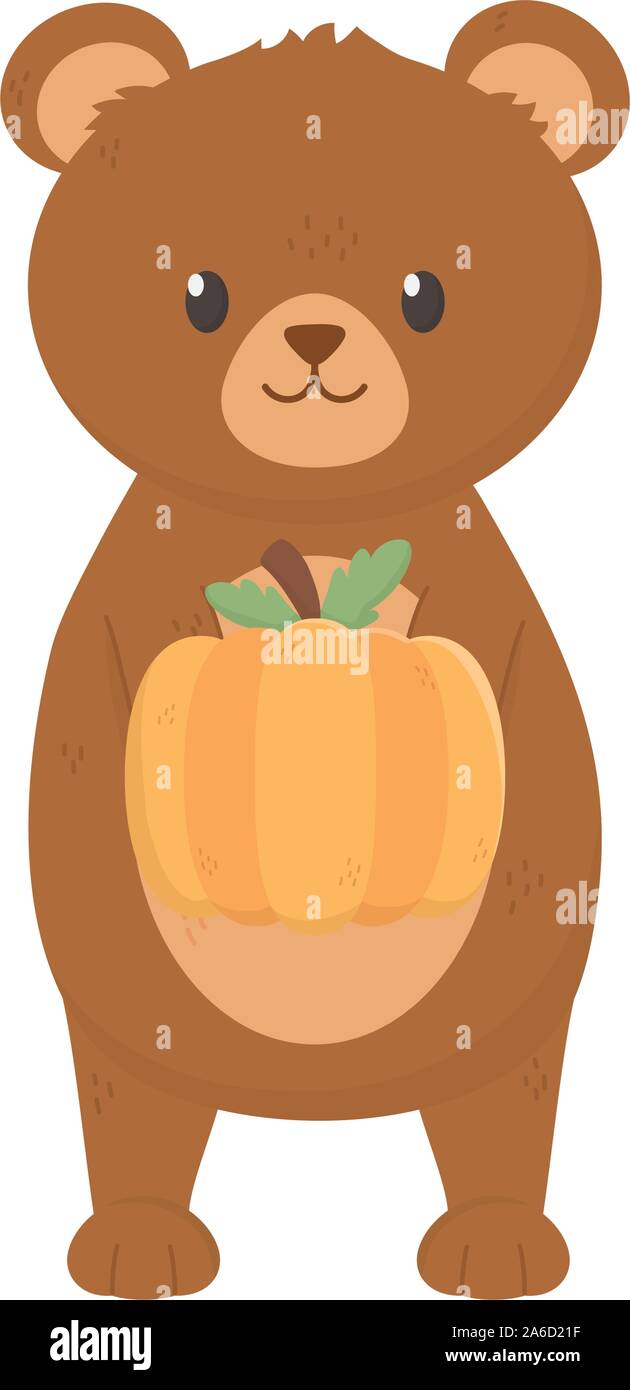 cute bear holding pumpkin autumn on white background vector ...
