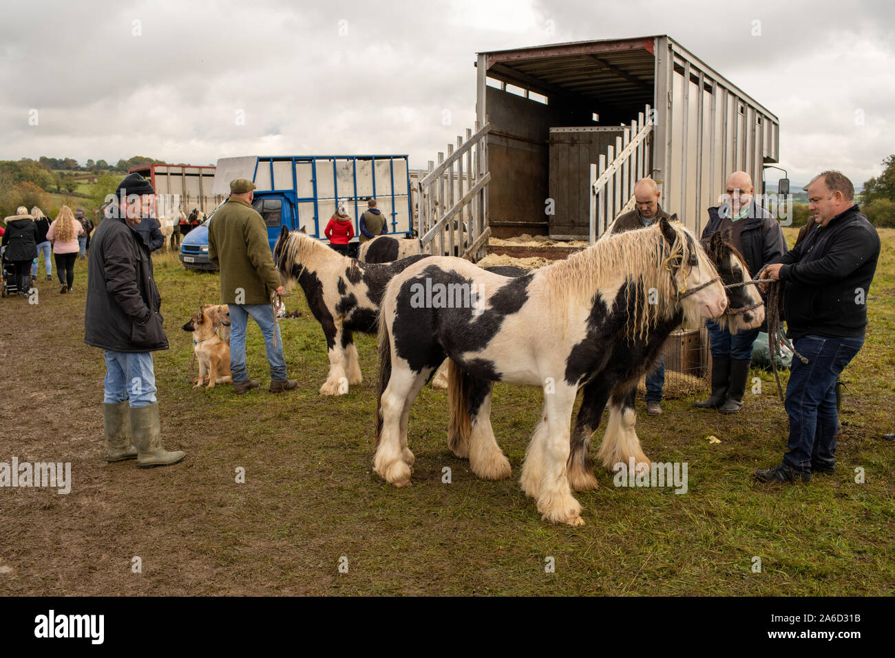 Stow Gypsy Horse Fair, Stow on the Wold, Cotswolds, Glouctershire