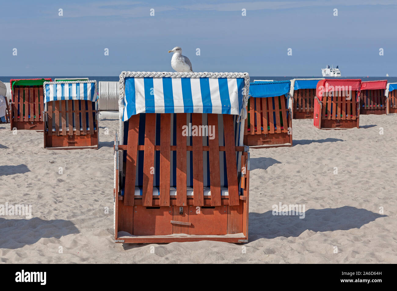 A seagull is sitting on a basket chair at the beach of Warnemünde in Mecklenburg-West Pomerania, Germany Stock Photo