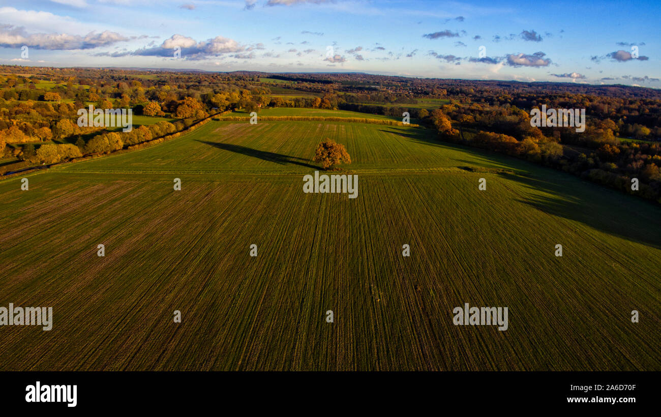 Autumnal Field From Above Stock Photo