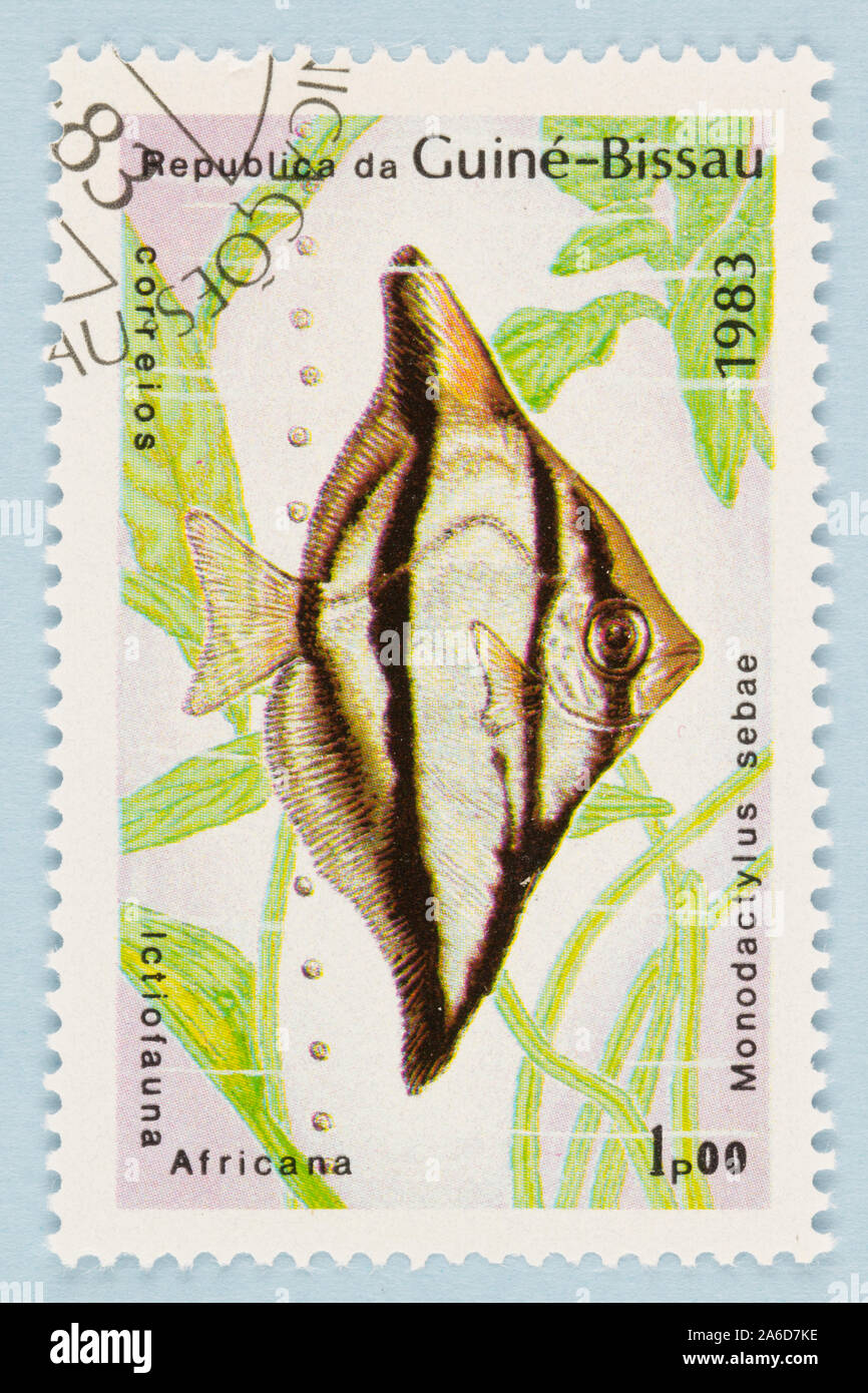 Close up of postage stamp from Guinea Bissau, Scott # 498: Local fish series of Africa - African Moony. Stock Photo