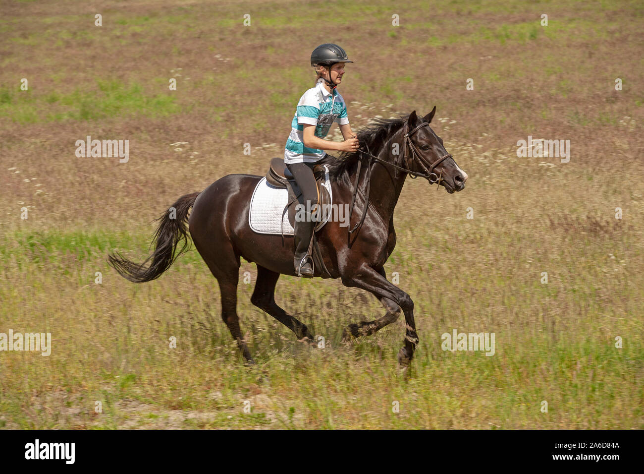 junger Reiter | A teenage boy is riding his horse. Stock Photo