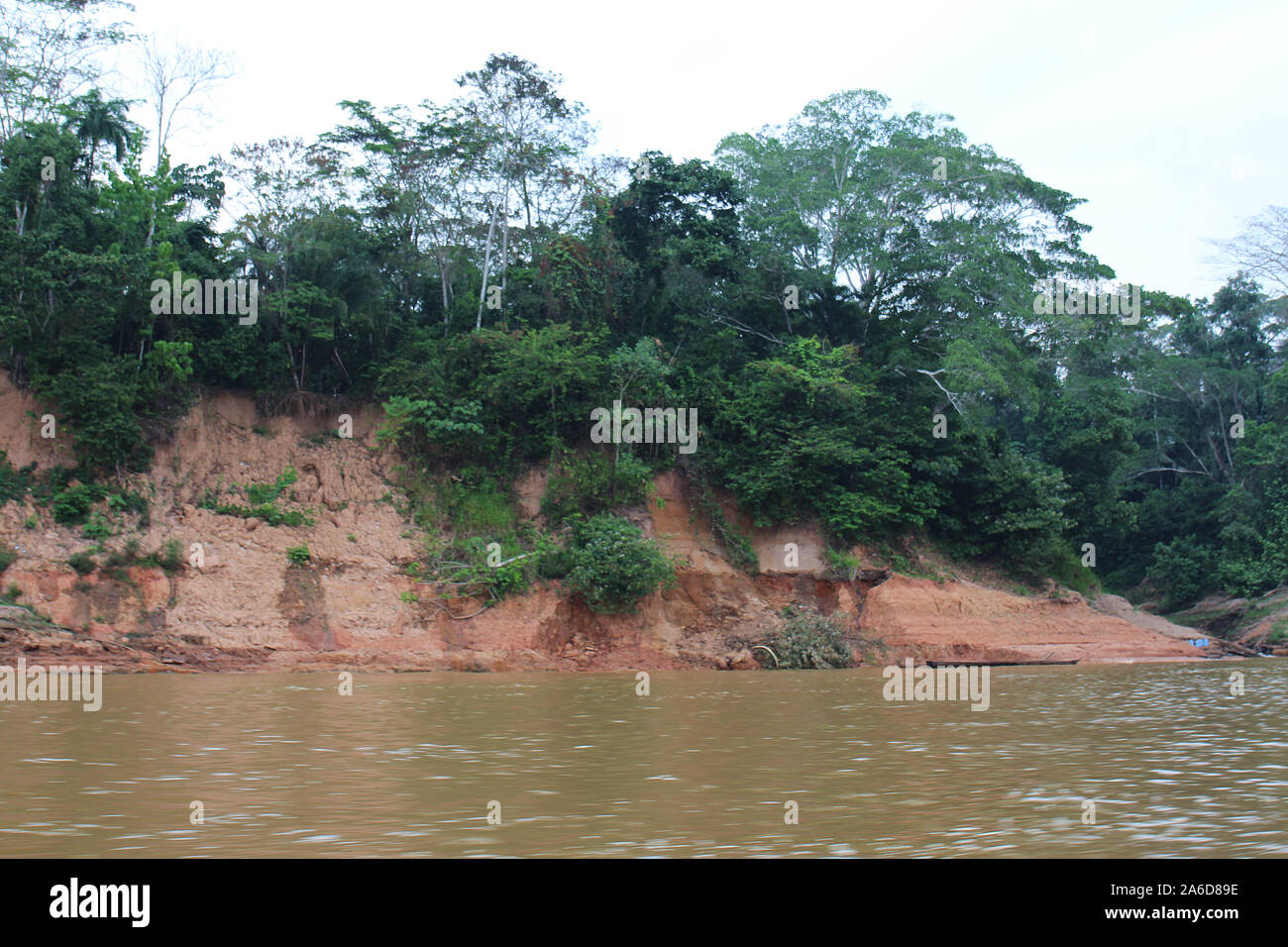 The eroded shoreline, Amazon rainforest and the Tambopata River in Madre De Dios, Peru Stock Photo