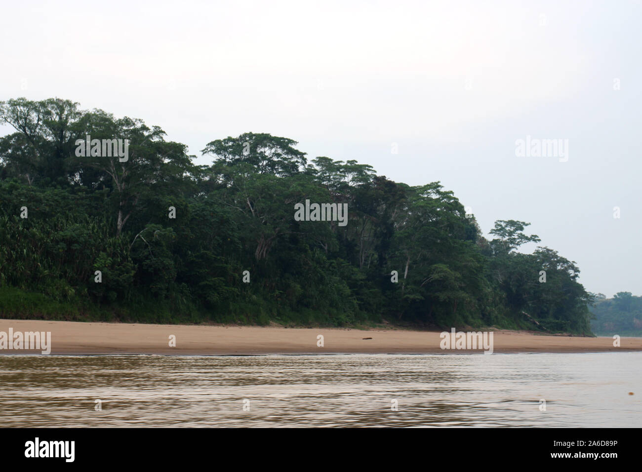 The shoreline, Amazon rainforest and the Tambopata River in Madre De Dios, Peru Stock Photo