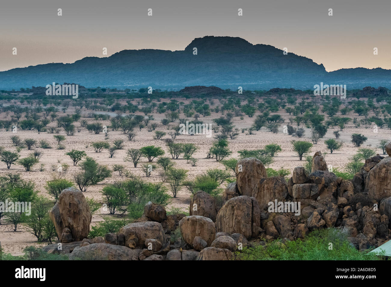 Namibia in Africa, landscape and wildlife Stock Photo